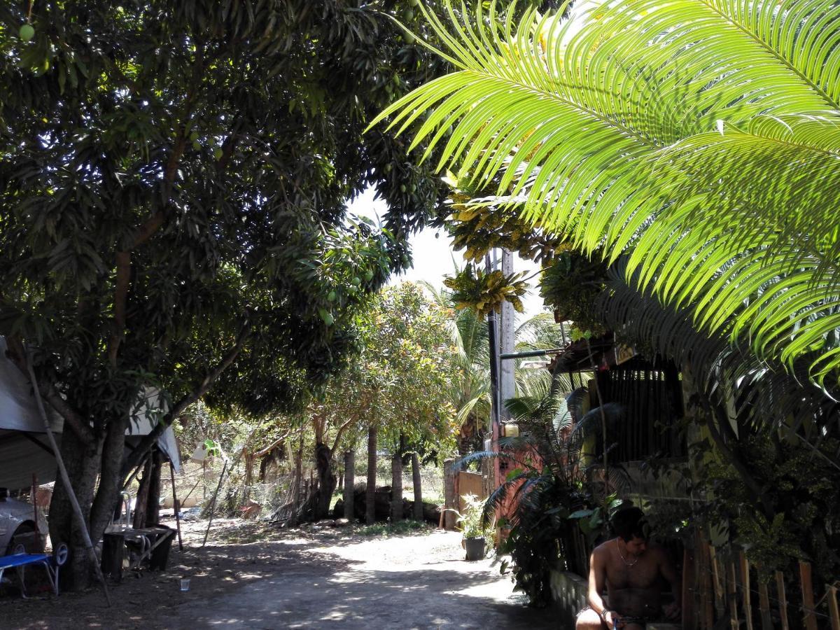 Hostel Terra Viva Praia de Pipa Exteriér fotografie